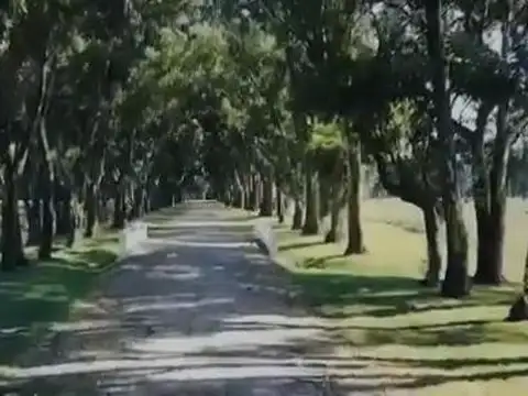 Ruta Provincial N°11 · Santa Clara del Mar