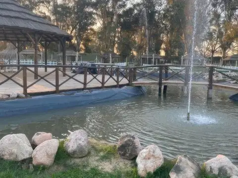 Terreno en Venta 10  mts Frente