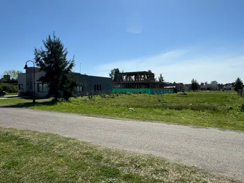 Carola Lorenzini 4600