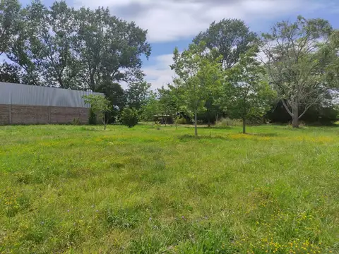 CHACRA EN VENTA ATALAYA DE 2 HECTAREAS CON ARBOLES