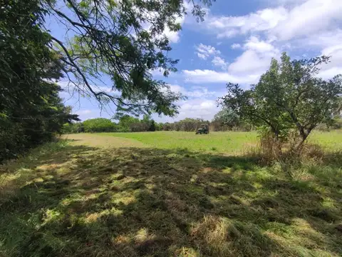 CHACRA EN VENTA ATALAYA DE 2 HECTAREAS CON ARBOLES
