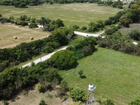 CHACRA EN VENTA ATALAYA DE 2 HECTAREAS CON ARBOLES