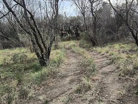 Ruta 1, a 3,4 kms de Merlo, 12.328 m2 con galpón y casa
