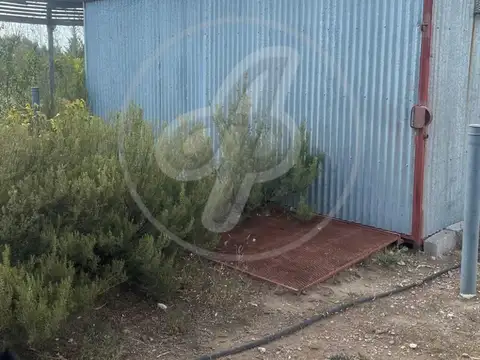 CASAS - QUINTA - PUERTO MADRYN