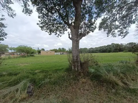 Terreno en Venta de 300,0 m2