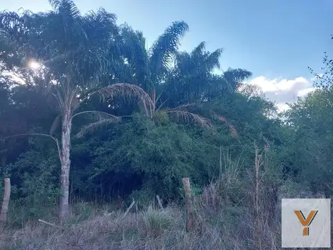 Campo en venta - 26 Hectáreas - Lobos