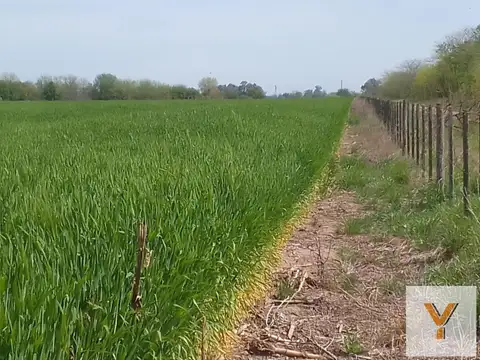 Campo en venta - 26 Hectáreas - Lobos