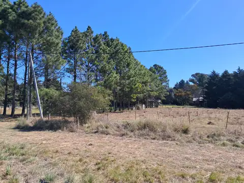 B° solar de los molinos 100
