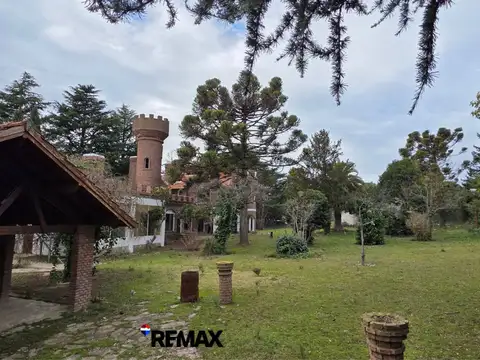 Cruz del Sur y Martin Pescador 100