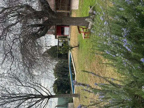 Casa de 3 dormitorios en Club Logaritmo Rugby  con jardín y pileta
