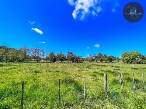 Terreno en Venta 15  mts Frente