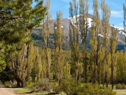 Terreno en Venta de 1375,0 m2