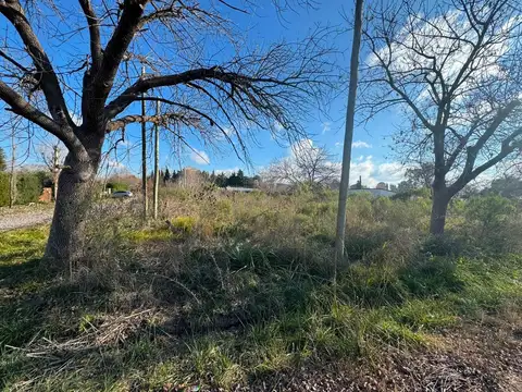 Terreno en Venta en Los Pioneros, USD 33.500