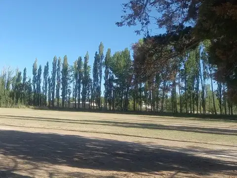 VENTA TERRENO 10 HECTAREAS EN PLOTTIER