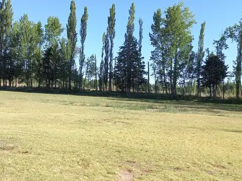 VENTA TERRENO 10 HECTAREAS EN PLOTTIER