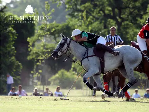 Terreno en Venta de 1539,0 m2