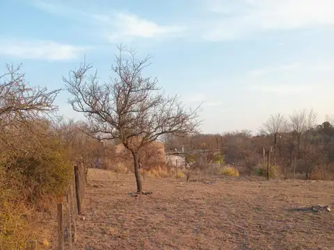 calamuchita 100