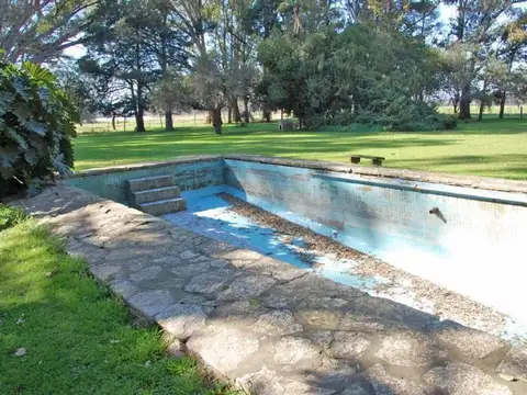 Open Door 402 Ha S/n