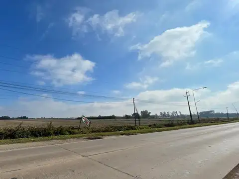VENTA CAMPO RUTA 2 C/ PROYECTO APROBADO LOTEO INDU