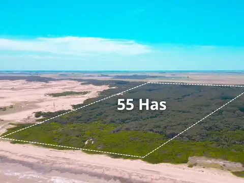 Campo en Mar Del Plata