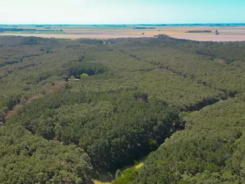Campo en Mar Del Plata