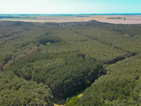 Campo en Mar Del Plata
