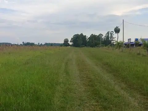 TERRENO EN VENTA DE 1053 M² EN COLONIA CAROLINA
