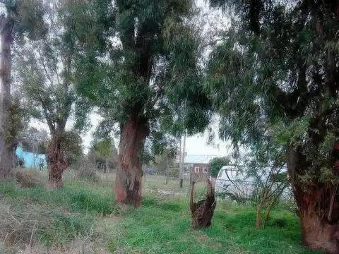 515 e/ 167 y 168
