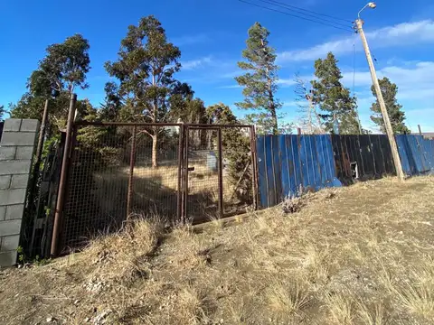 ROBERTO PAIRO E A. RIVAS Y A. BENEDETTO 100