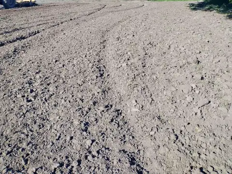 Zona Rural , Camino Noguera