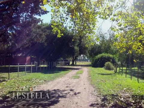Campo 272 Ha con vivienda y mejoras - San Vicente