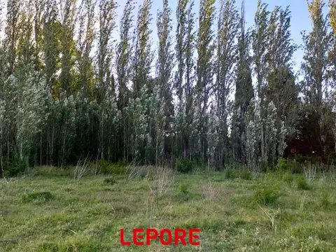 Terreno en Venta en Tomas Jofre, USD 36.000