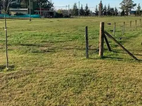 Terreno en Venta de 908,0 m2