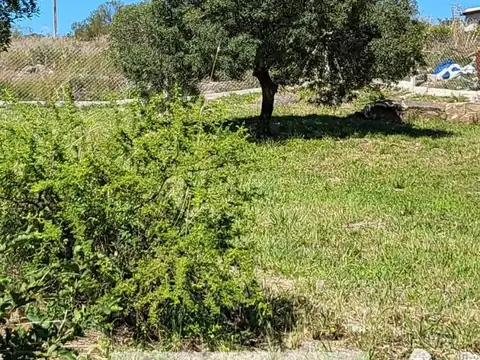 Terreno en Venta 15  mts Frente