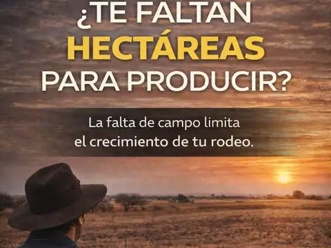 Campo de 400ha en venta - Zona Choique