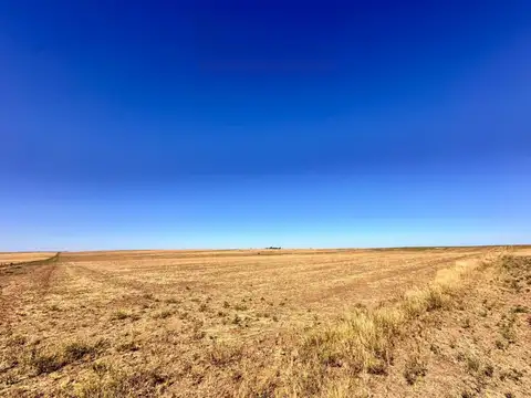 Campo de 400ha en venta - Zona Choique