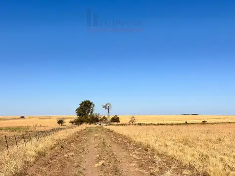 Ruta Nacional 100