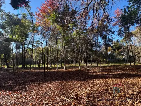 Terreno en Venta 86  mts Fondo