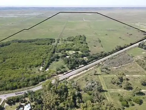 Campo sobre Ruta 11 - Berisso