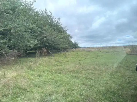 Campo sobre Ruta 11 - Berisso