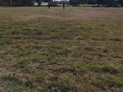 Terreno en Venta de 1100,0 m2