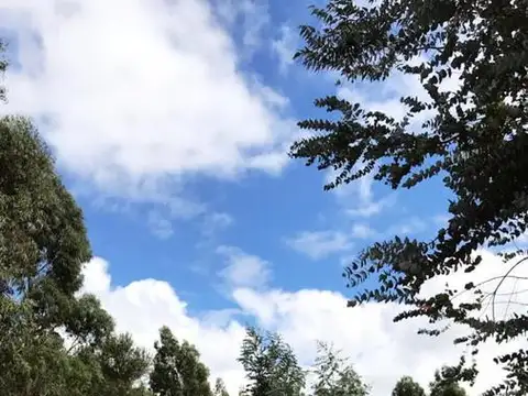 Club de Campo Los Tres Arroyos