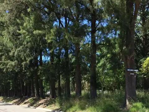 Terreno en Venta en Muñiz, USD 50.000