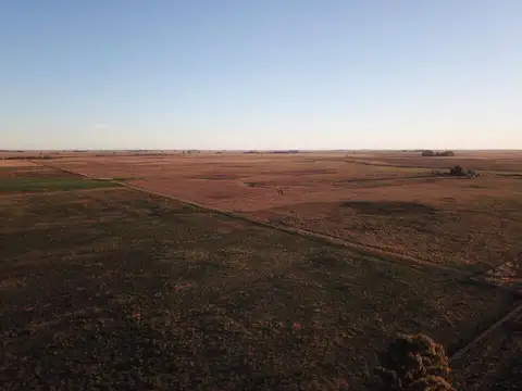 Campo en Venta Mixto