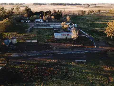 Venta Campo Mixto Sur de la ciudad de Azul 472 has. Casa y 2 puestos Luz eléctrica. A 1000m Ruta 3