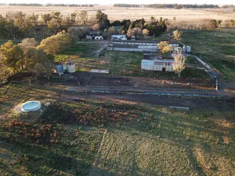 Campo en Venta de 472  ha