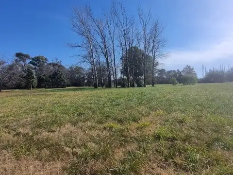 Terreno en Venta de 15346,0 m2