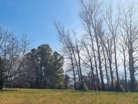 LOTE EN VENTA EN LA ORACION-LUJÁN-MÁS DE 15000 M2