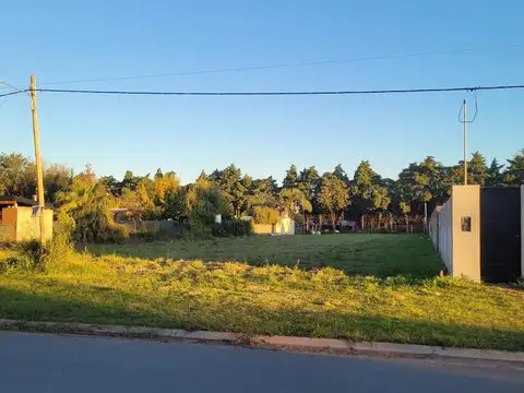 Terreno en Venta 44  mts Fondo