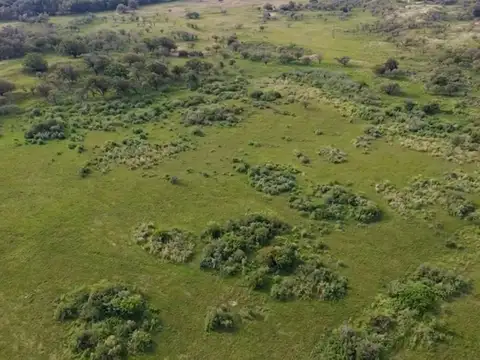 Venta Hectareas apto desarrollo En Canning-San Vicente